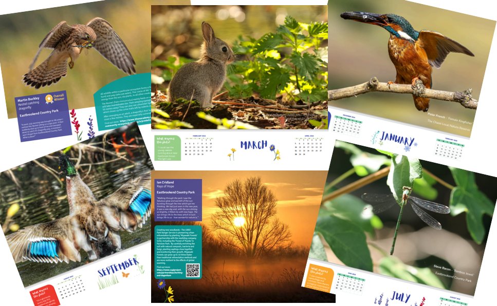 Send your entries in NOW! 📷This year's #WildFreeLBBD competition closes at midnight Fri 31 Oct. Email up to 5 photos of nature seen in <a href="/lbbdcouncil/">Barking and Dagenham Council</a> parks &amp; you could feature on the 2026 calendar.🐾🍄 Send to Rangers@lbbd.gov.uk or use #WildFreeLBBD on X. barkinganddagenhamcountryparks.com/wild-and-free-…