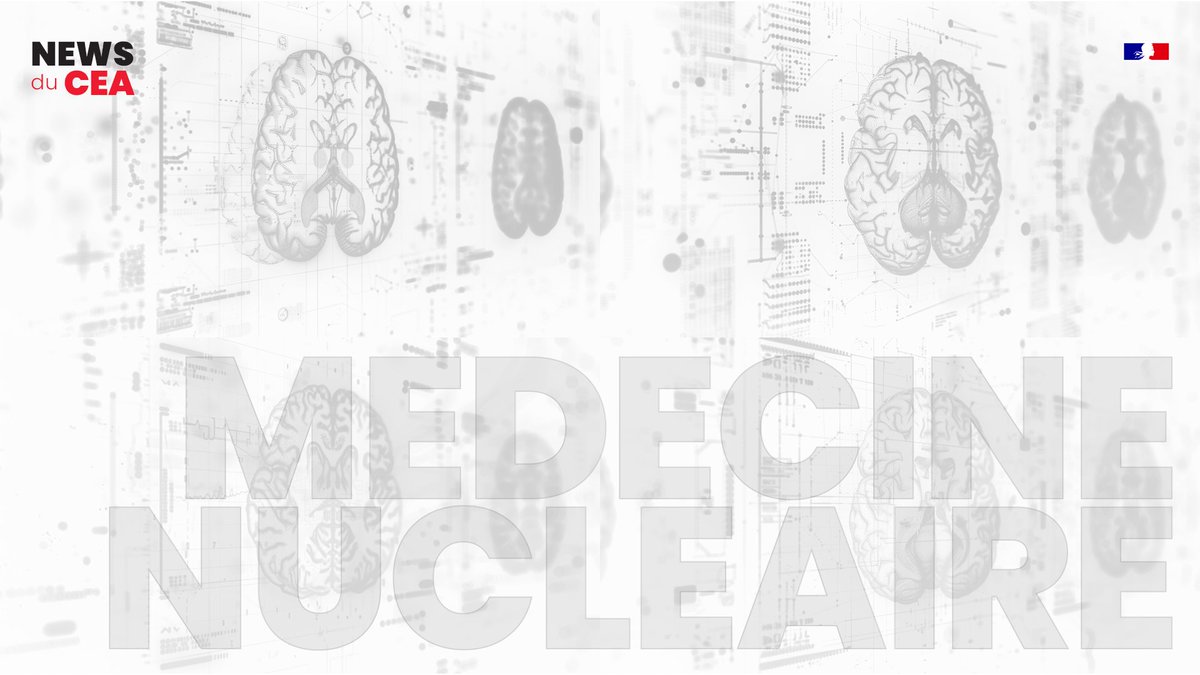 #Santé🩺| 🚨La douzième newsletter du CEA est en ligne !  
Tous les deux mois, la newsletter du CEA c’est un dossier d’actualité au ❤ de nos métiers. 

Aujourd’hui, zoom sur la médecine nucléaire 👉bit.ly/CEANewsletter-…