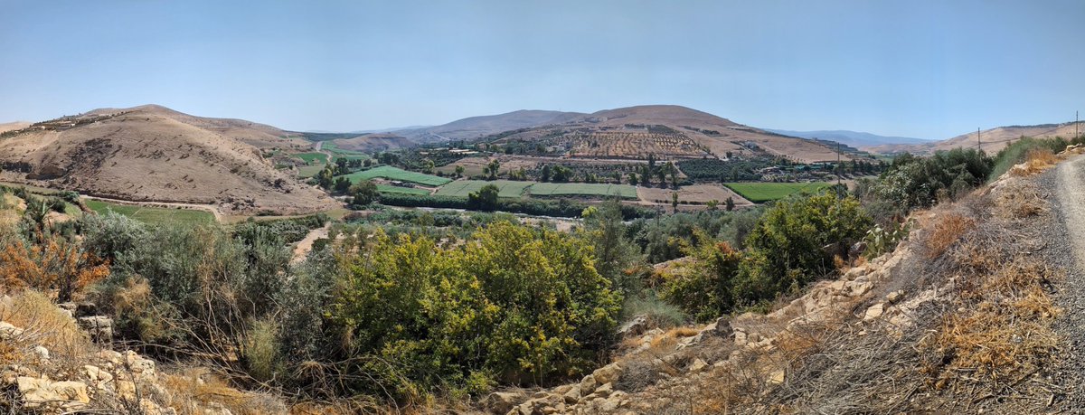 Andoni Mateos Cabero tweet media