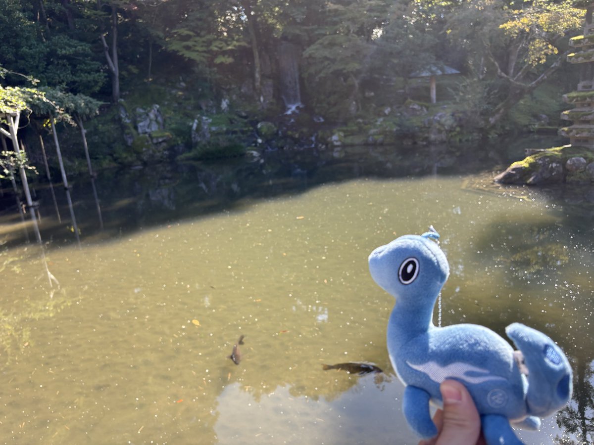 ヨグネッシー石川県兼六園にて出没🦕