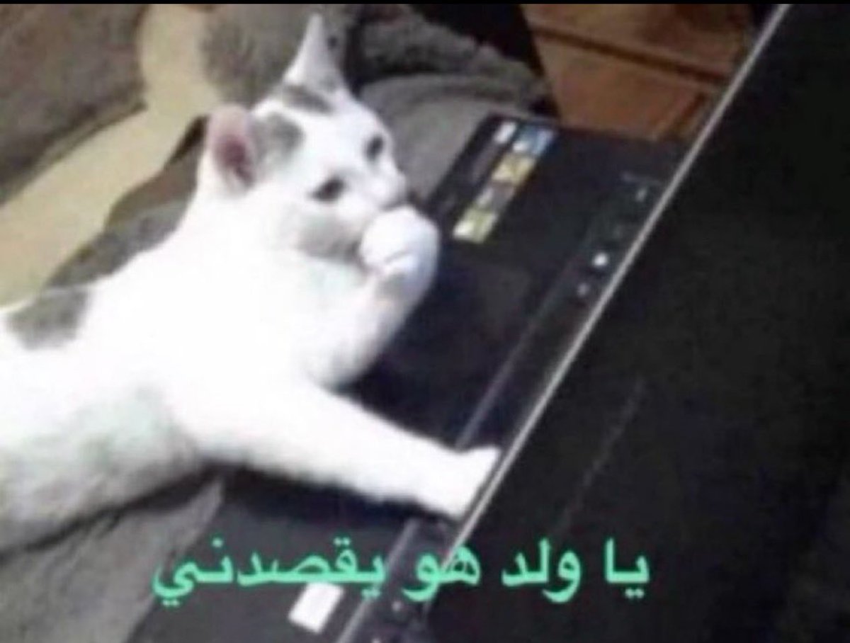 Öz (@3laioo) on Twitter photo 