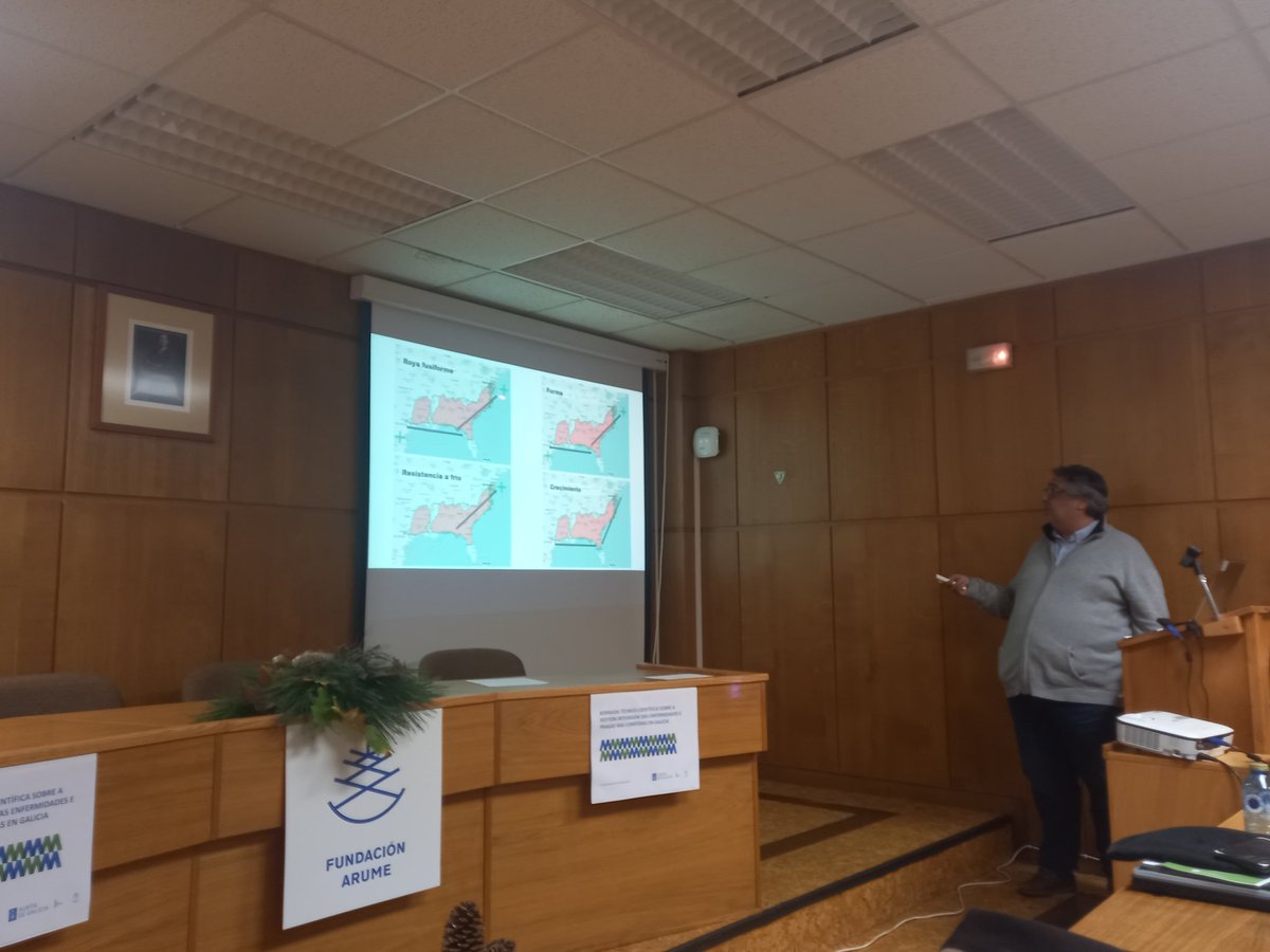 CIF de Lourizán tweet media