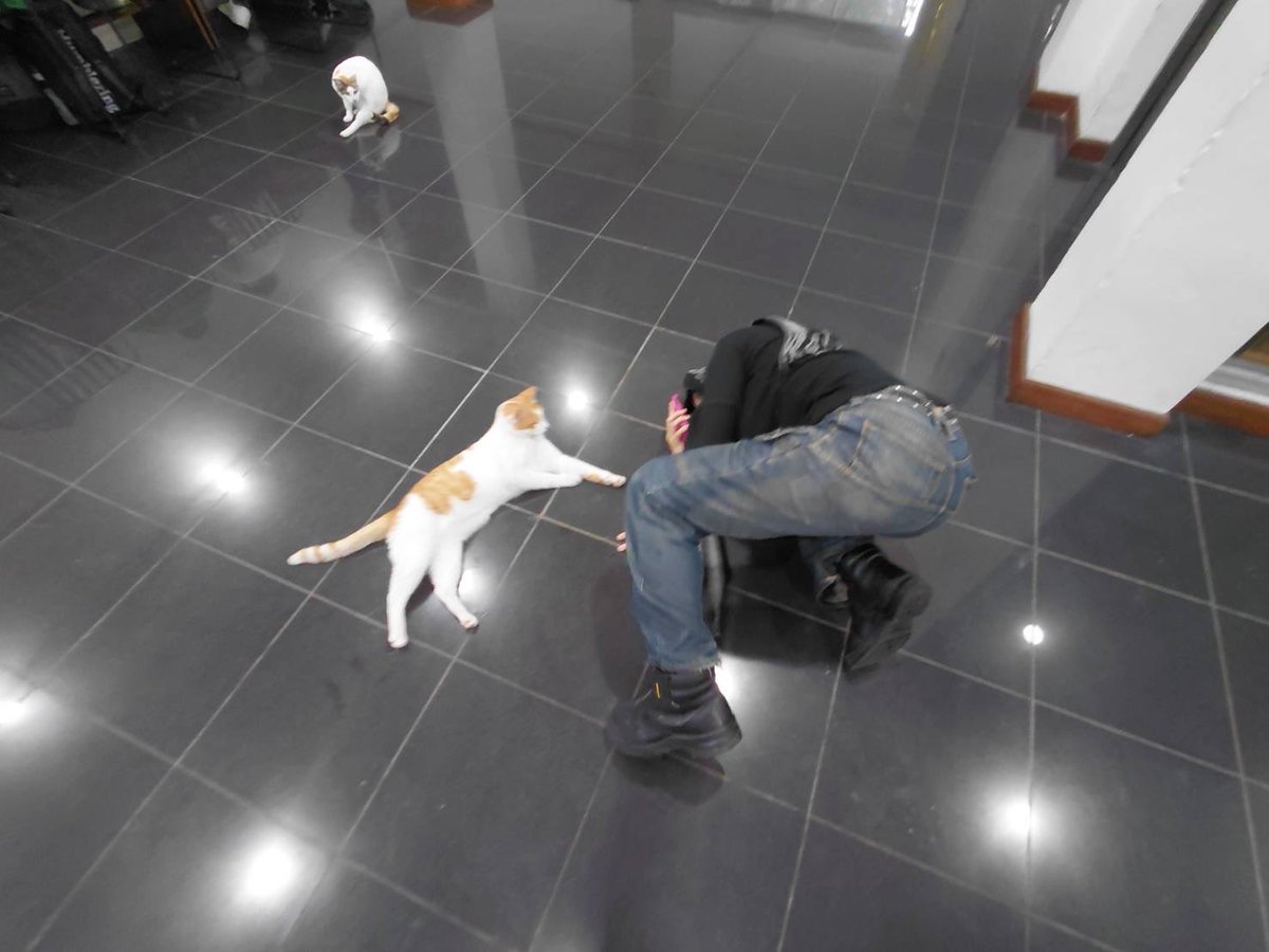 gakdieksplorasi's tweet image. the pic                             the photographer