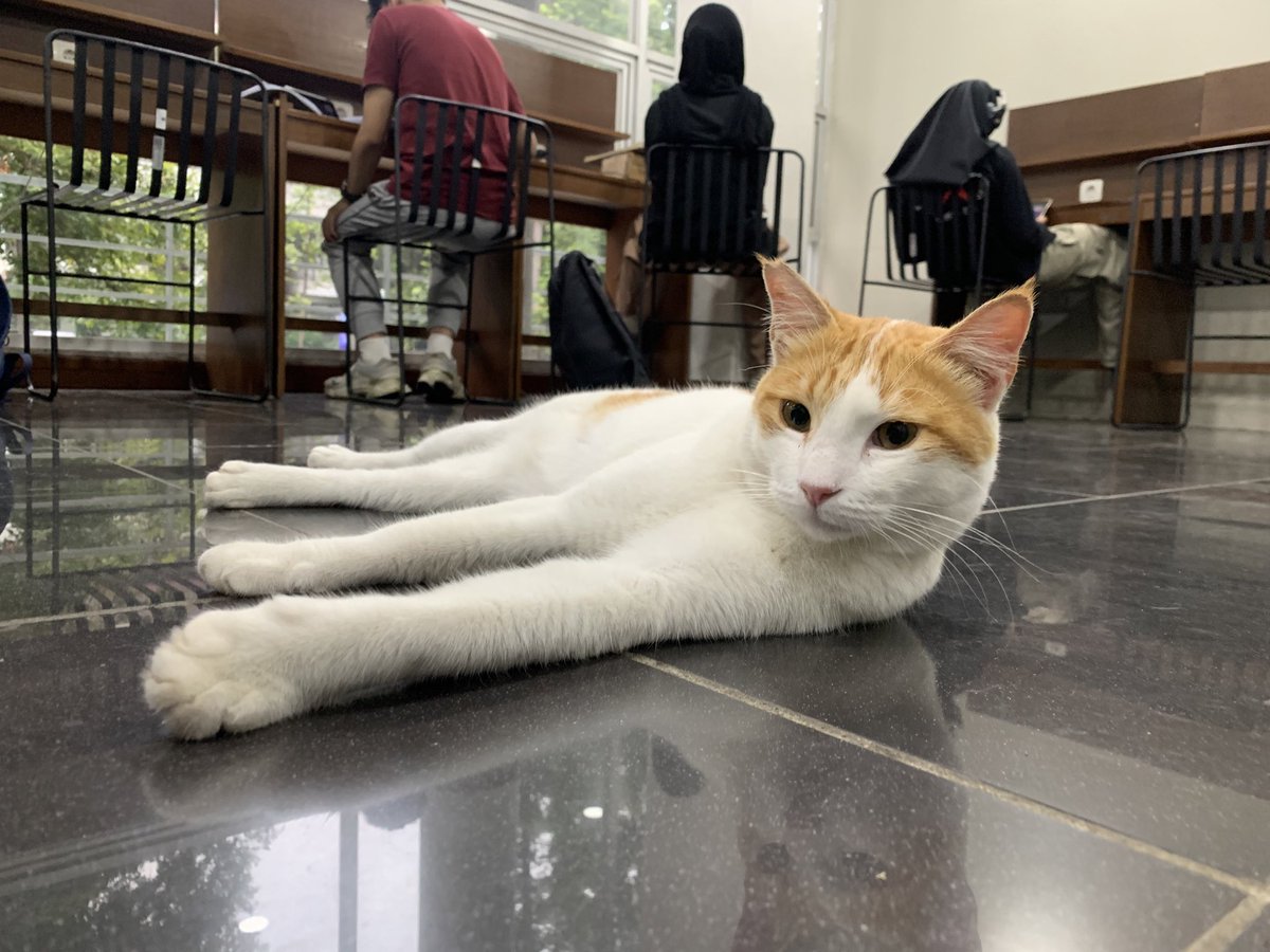 gakdieksplorasi's tweet image. the pic                             the photographer