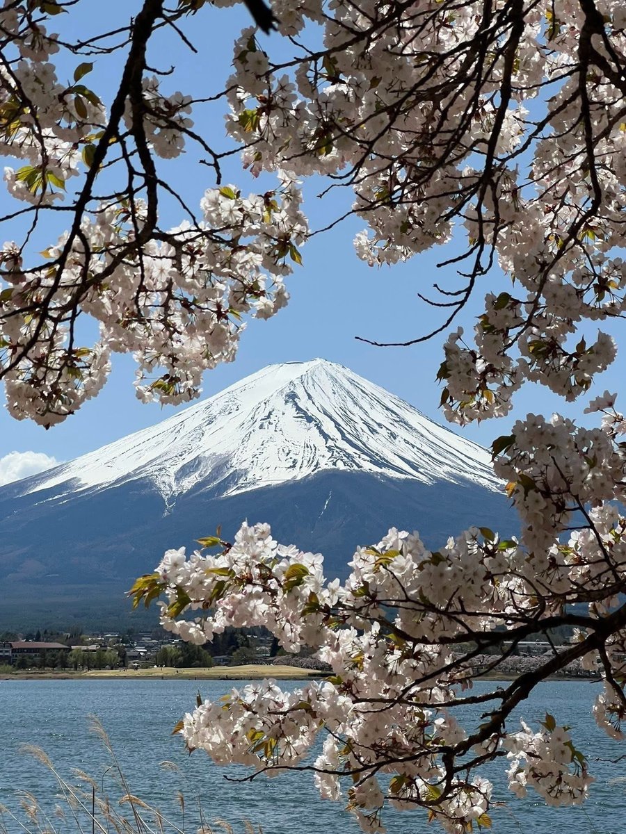 北海道デジタルミュージアム on X