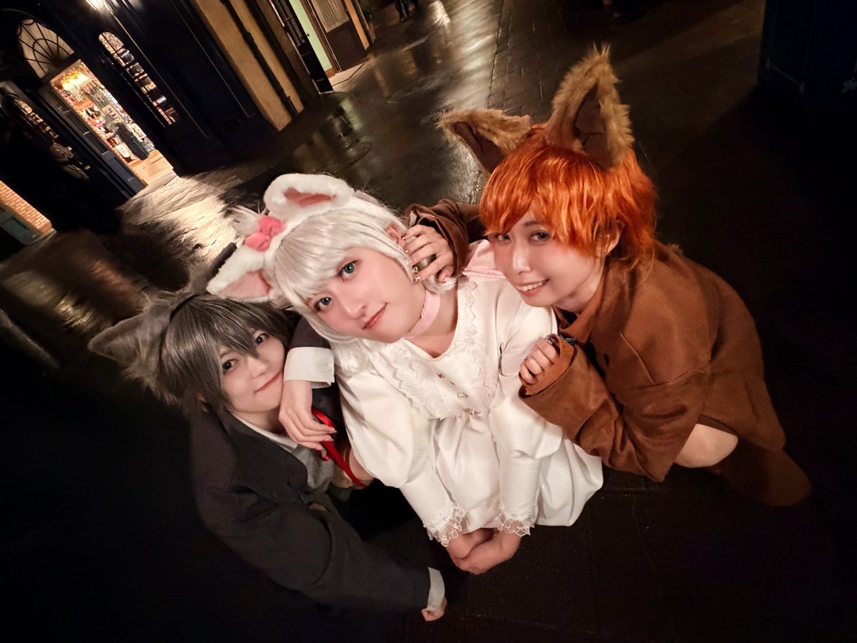 pypymrr's tweet image. みんなみんな！！！！みんなみんな！！！！みんな猫になりーーたい！！！

#Dハロ仮装2025
#Dハロ仮装
#Dハル