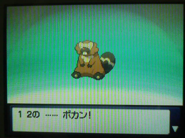 スパルタ現地校に通ってお勉強してましたが、日本に帰国して数ヶ月で日本語ペラペラで友達と遊んで言葉は全部ポケモン並みに忘れました！