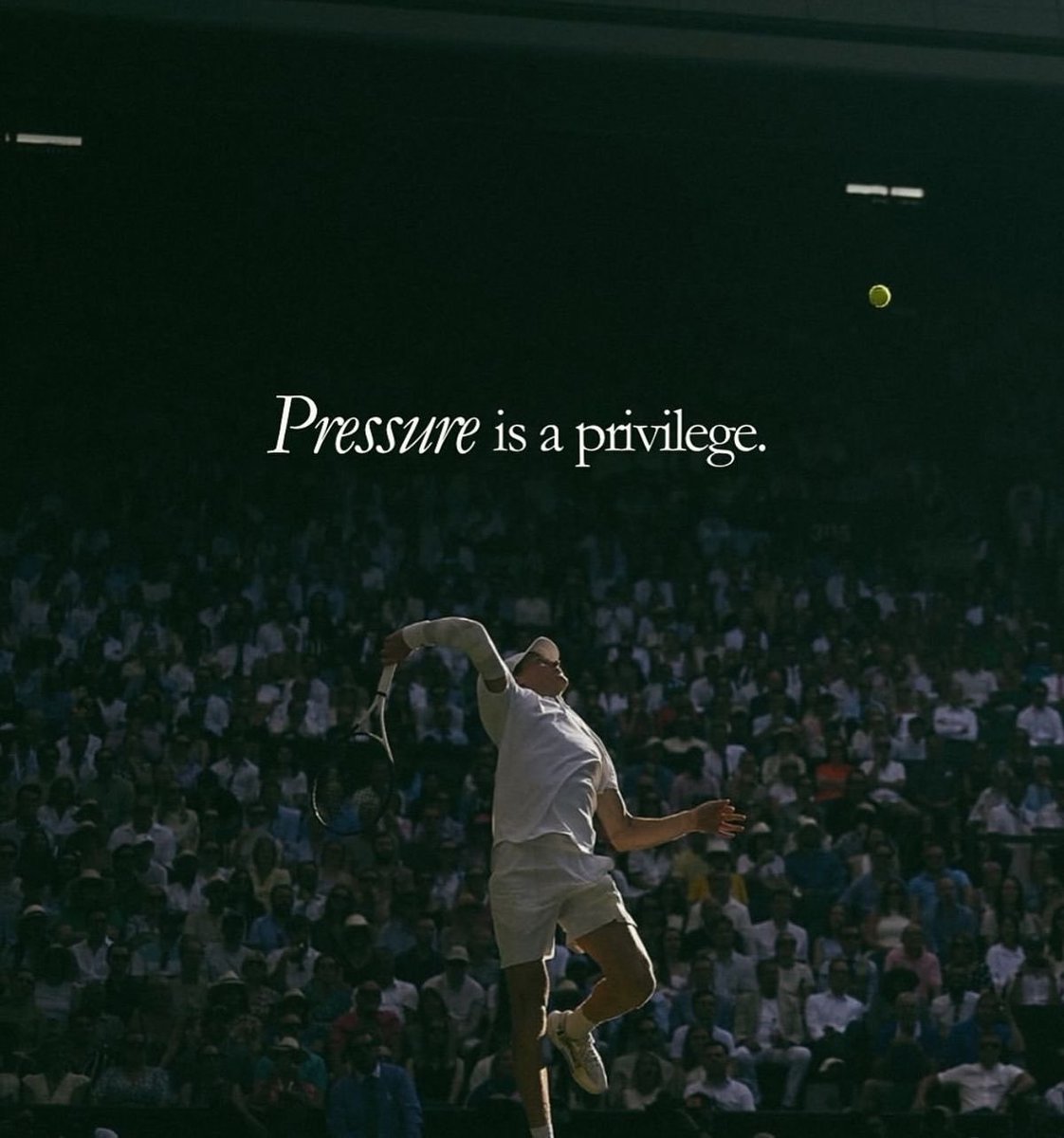 danielpsegundo's tweet image. 