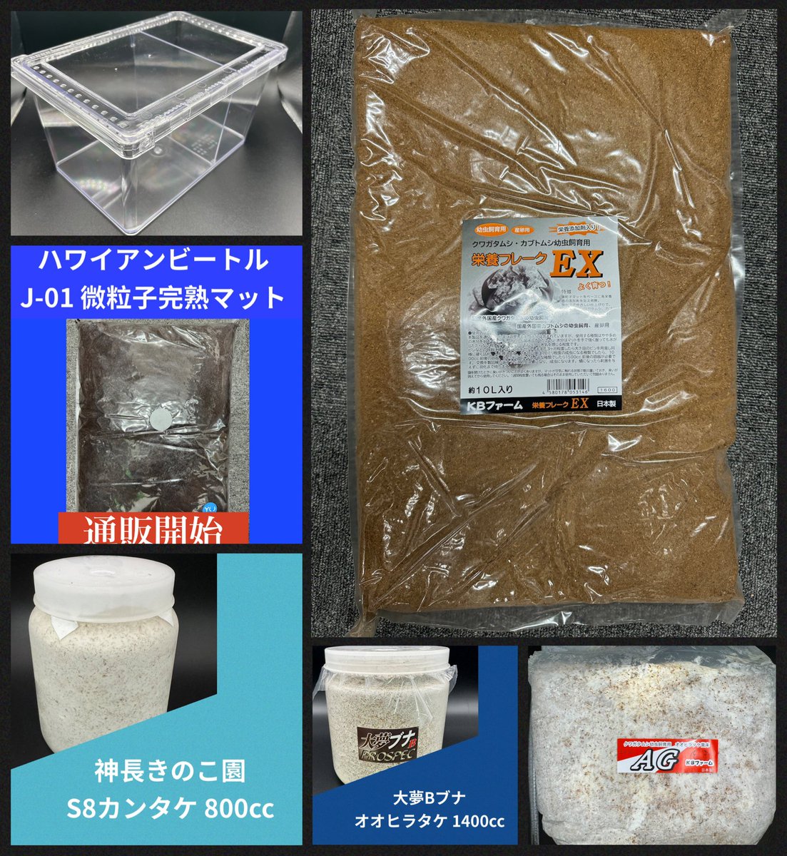 KPW公式｜昆虫生体・標本・オークション on X