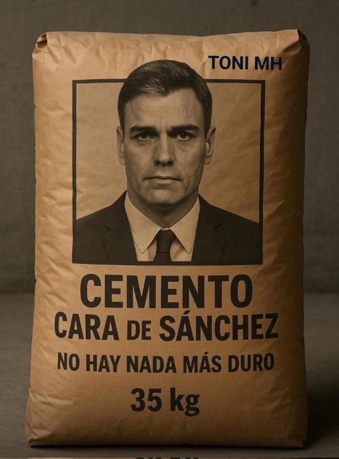 migue08🇪🇸 tweet media