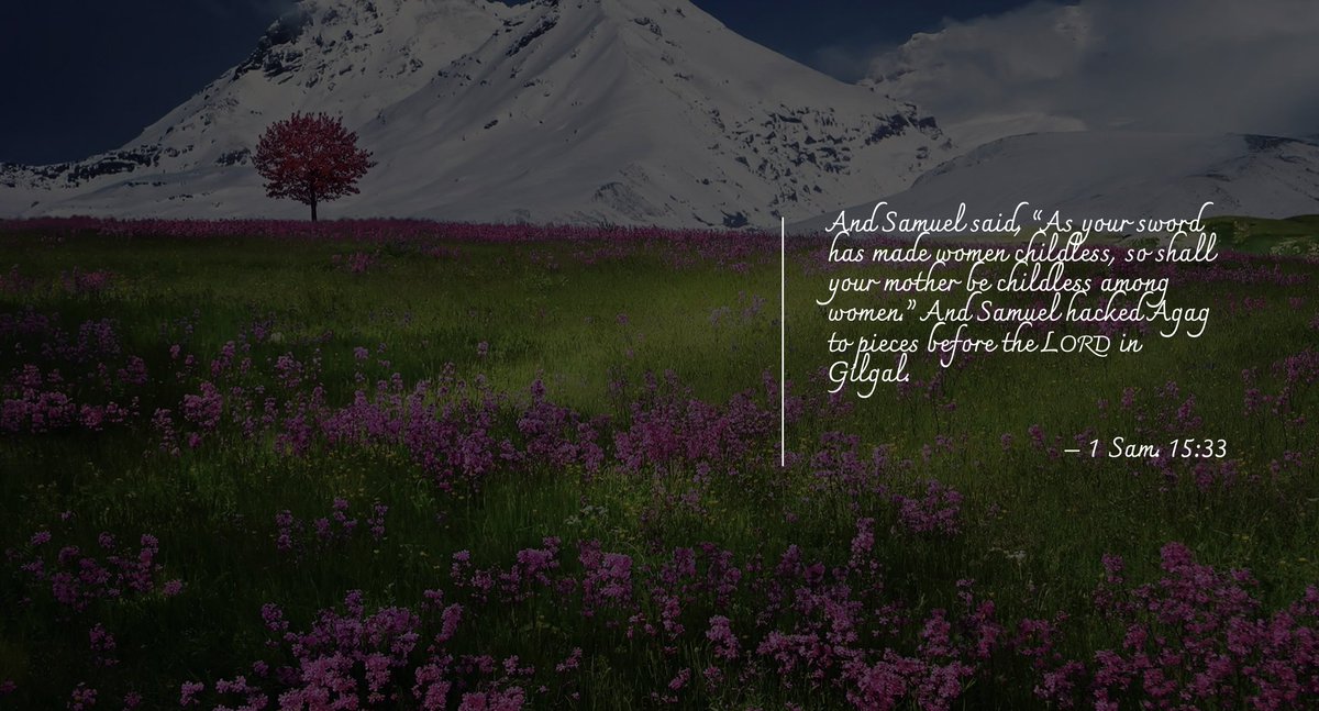 Jason Gudim 🦆 (@gudimjason) on Twitter photo 