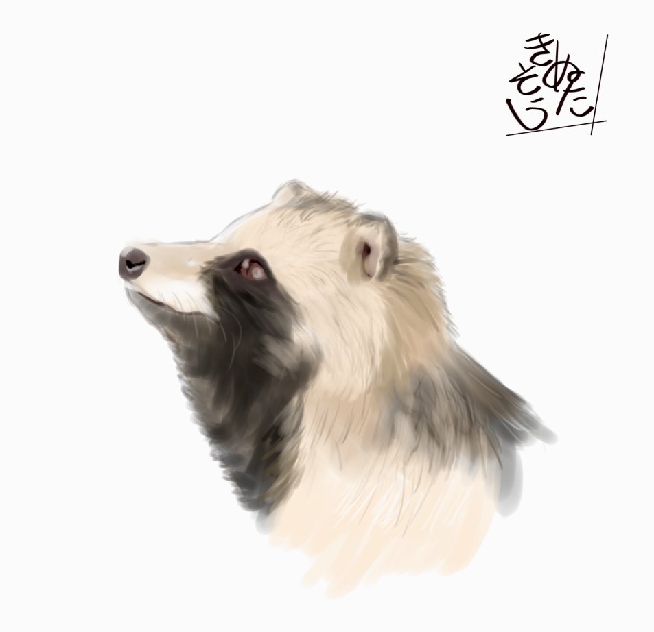 【U722】たぬき　確認用　10個 U722】たぬき 確認用 10個 どどどぽんぽこのタヌキ探し (@dddtanuki