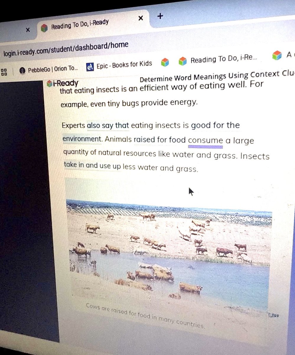 “You will eat the bugs and be happy.”

That’s not a meme anymore, it’s a 5th grade reading lesson in California’s <a href="/SanMarcosUSD/">San Marcos USD</a> 

10 year olds are taught:
“Eating insects is good for the environment.”
“Meat uses too many natural resources”
“Many insects taste delicious!”