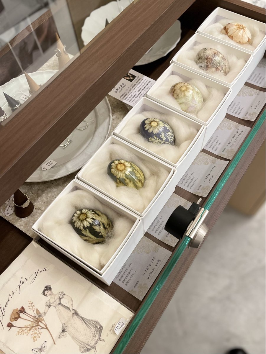 合田ノブヨ先生がオープン以来となる作品『ボタニカル・エッグ』をお寄せくださいました！卵に染め移された花や葉の姿は、一見重厚そうでありながらとても軽く繊細で、美しさは儚いものであることを改めて想起させてくれます。数量限定です。ぜひ店頭で💁🏻 <a href="/goda_nobuyo/">合田ノブヨ</a> #botanicalegg