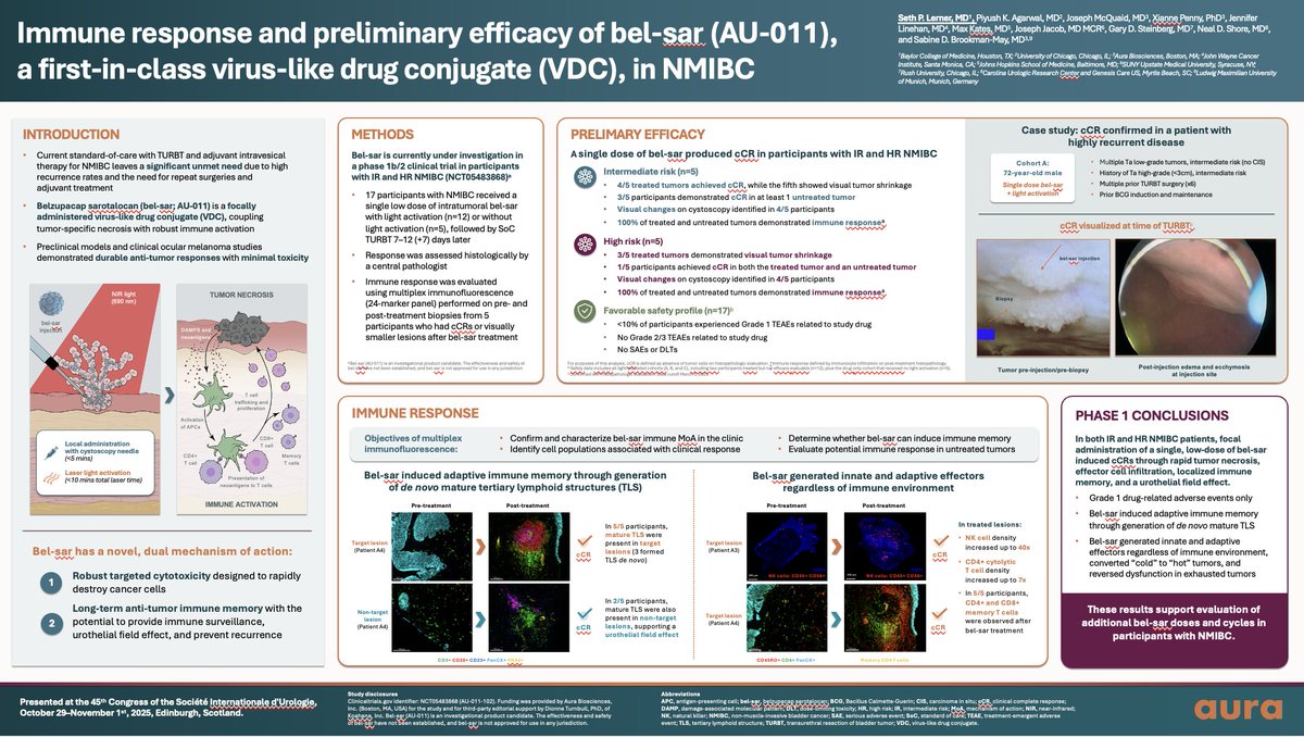 brookmans76's tweet image. Data from our phase 1 study with AU-011/Bel-Sar, a Virus-Drug-Conjugate (VDC), in NIMBC presented by Seth Lerner #SIU23 @SIU_urology 
Immune response and preliminary efficacy of bel-sar (AU-011), a first-in-class virus-like drug conjugate (#VDC), in patients with NMIBC
☑️In IR