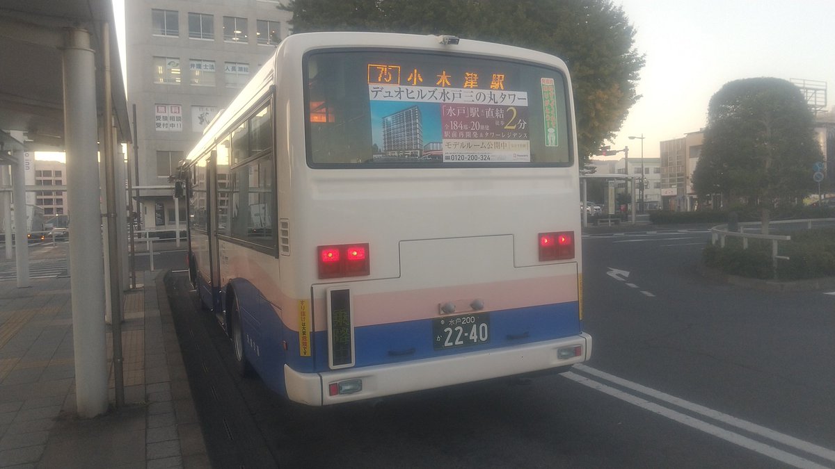 ハスの種　1000粒　Azuma ハスの種 1000粒 Azuma ハスの種 1000粒 Azuma ハスの種 1000