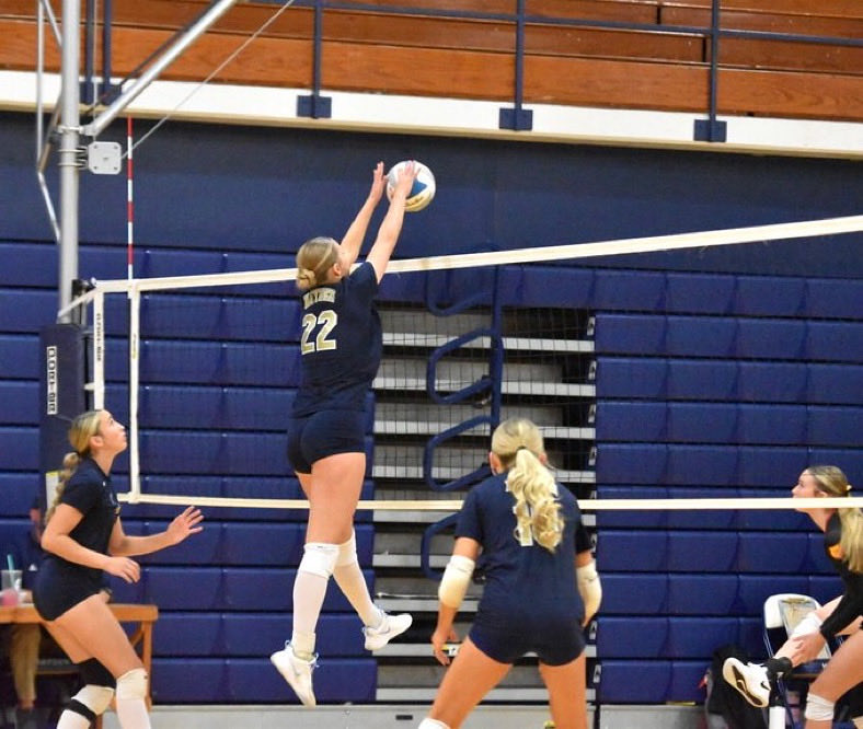 Sports in Kansas tweet media