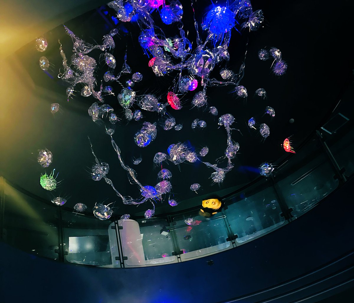 2日間の思い出達。収まりきらなくて…。
庄司浩平くん生誕祭誕生祭、タワレコ渋谷店写真集パネル展、ドラマ40までにの慶雀シーパラデート聖地巡り。。。
やりたい事できて、念願のシーパラも行けて本当に幸せでした。
 #庄司浩平
 #庄司浩平が繋いだ縁
 #庄司浩平誕生祭2025
 #庄司浩平生誕祭2025