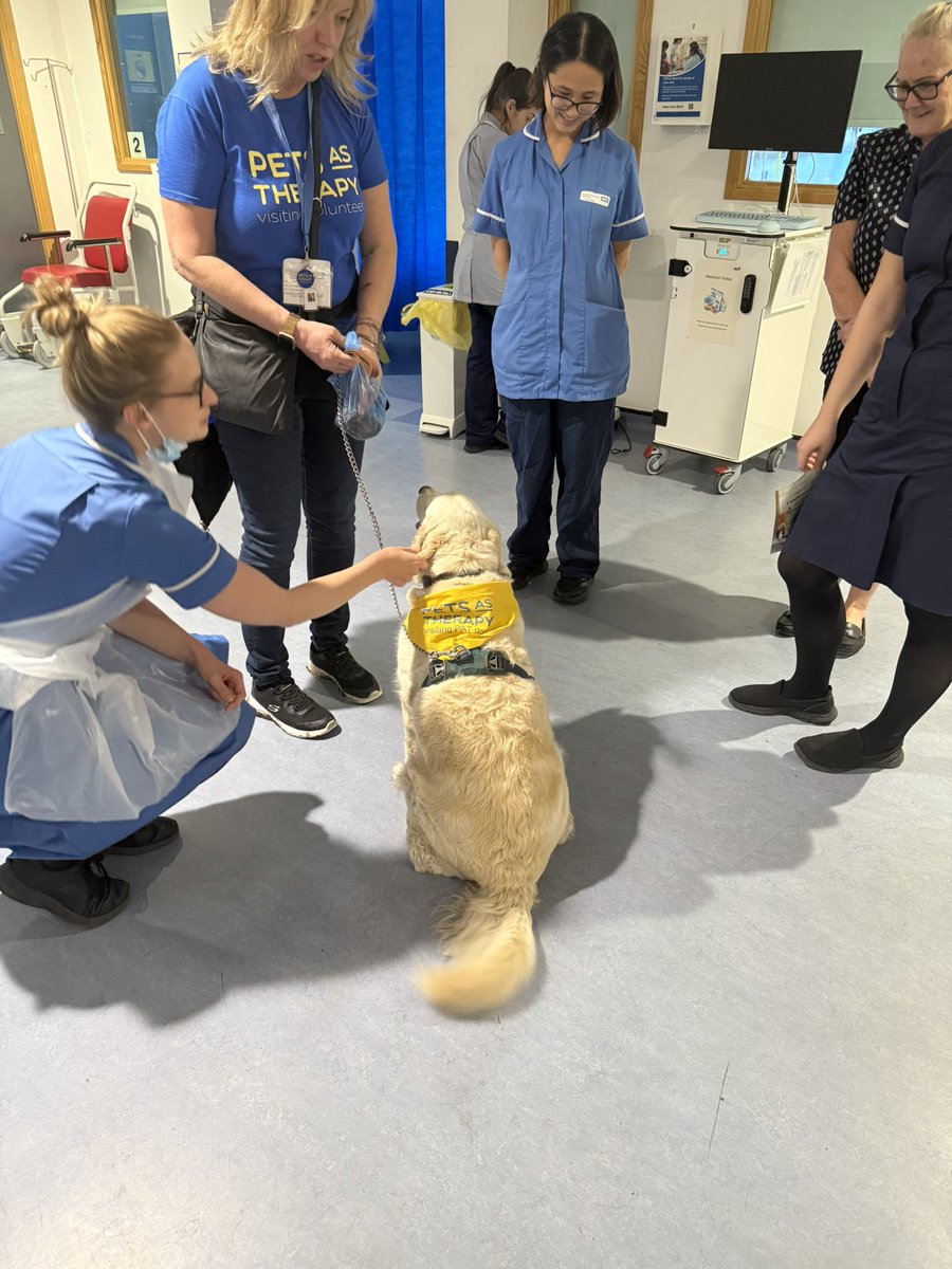 Heart Care Unit tweet media