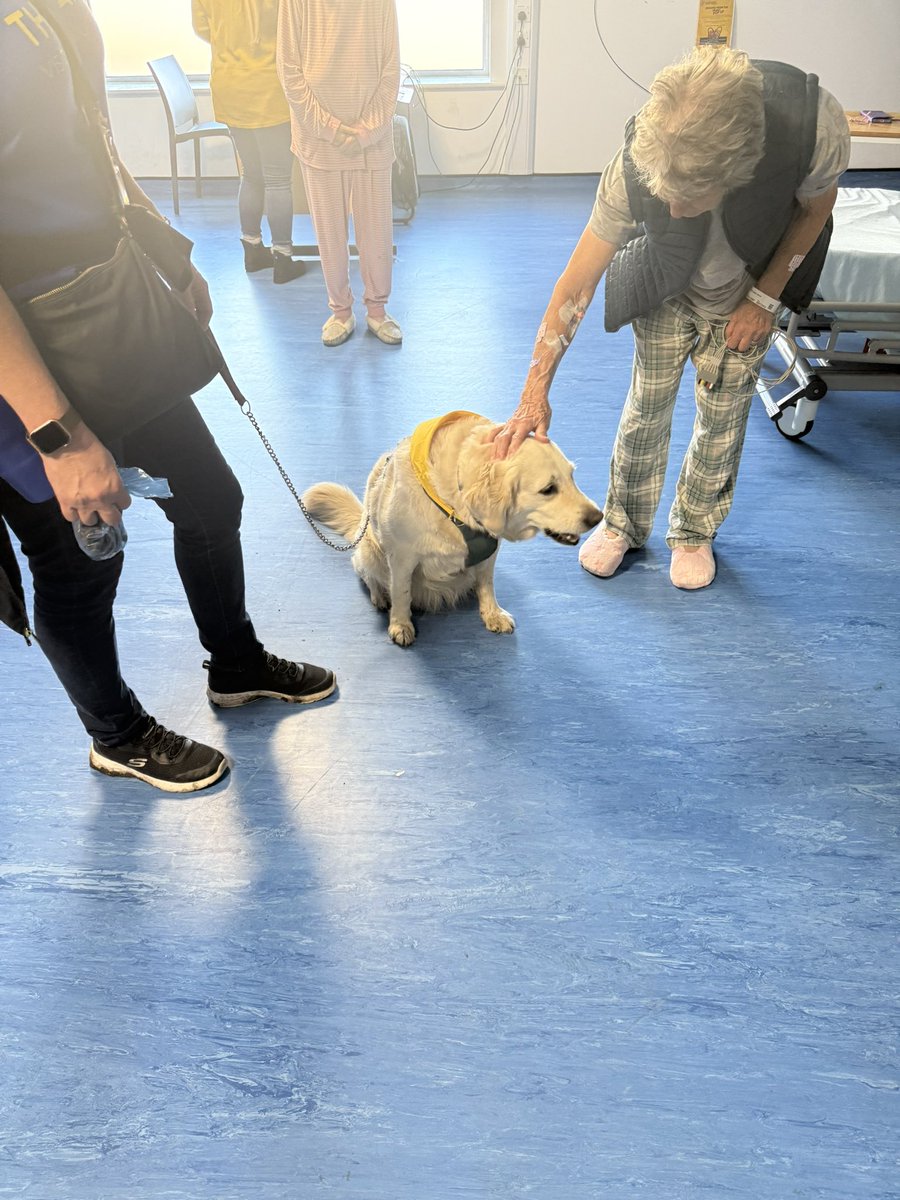 Heart Care Unit tweet media