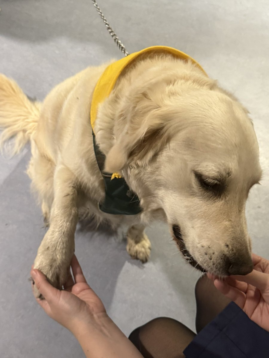 Heart Care Unit tweet media