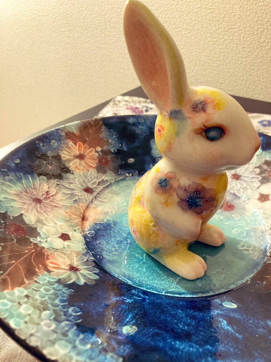 素敵なうさぎに出会えました(ᐡ •͈ ·̫ •͈ ᐡ)