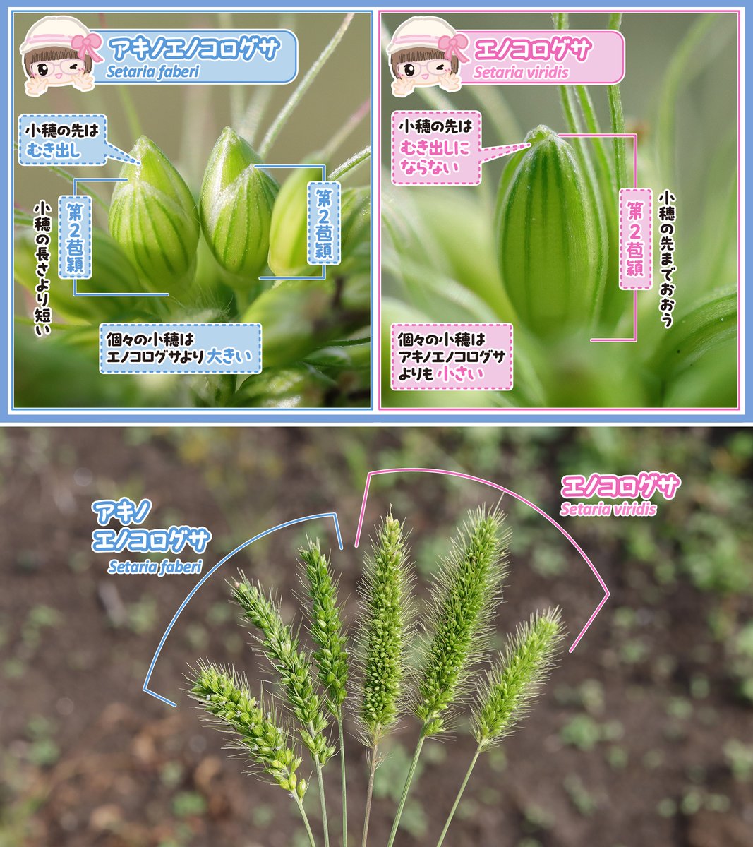 tori (@maritori0501) / Posts / X