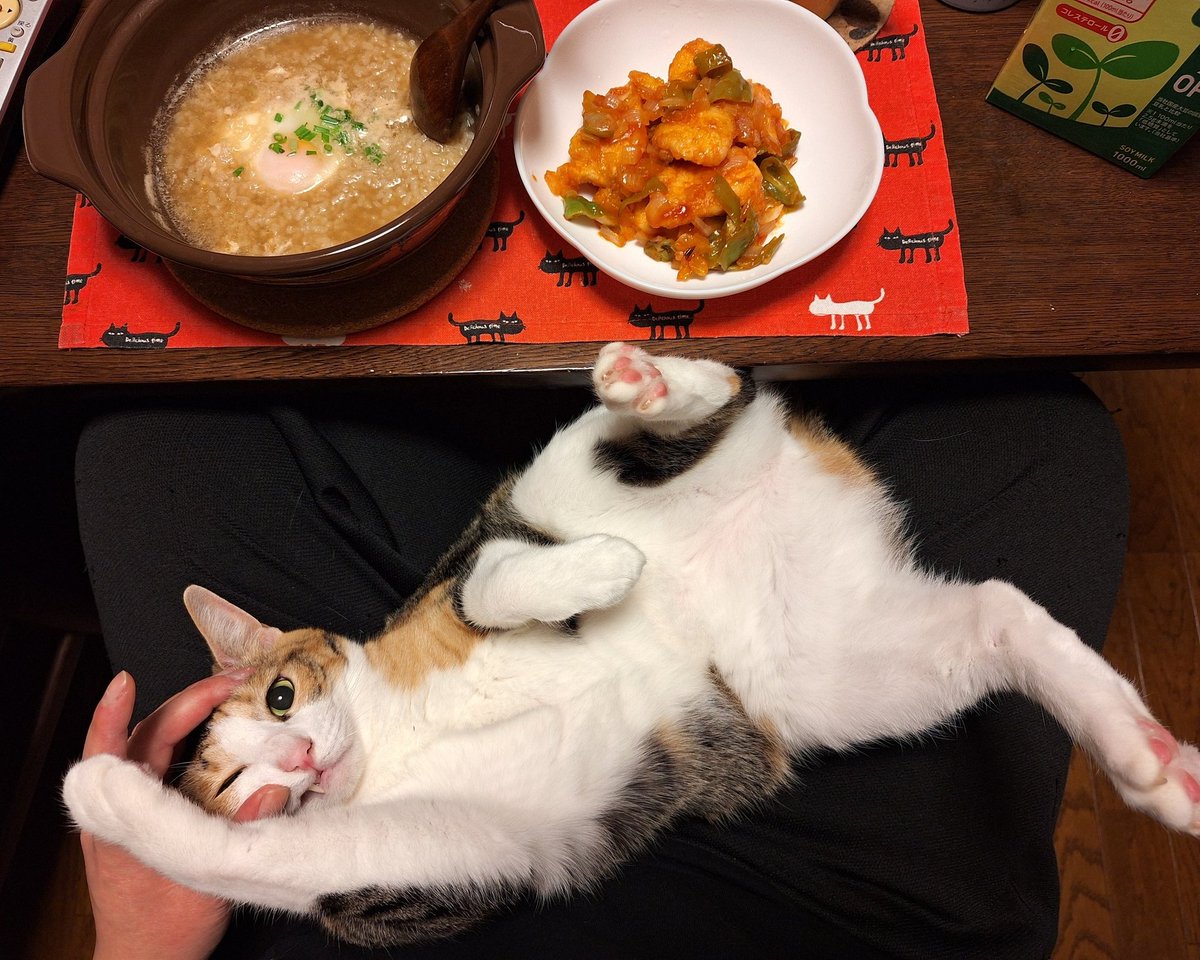 鶏むね肉のチリソースおでんおじやたべました