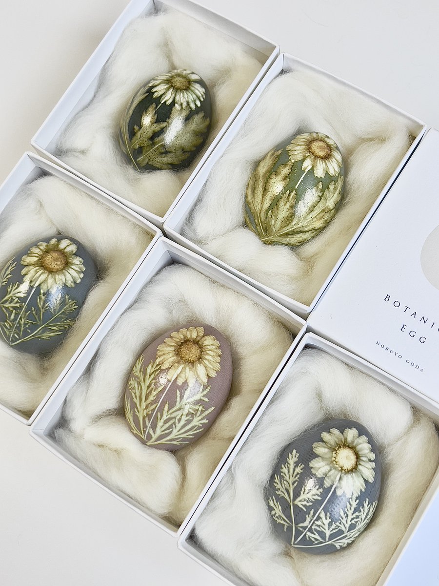 二子玉川のスプラウト・ブックス・アンド・アート<a href="/SproutBooksArt/">スプラウト・ブックス・アンド・アート</a> さんで、ボタニカル・エッグを展示販売していただいております。お立ち寄り頂けたら嬉しいです。本やアート、雑貨など目移りしてしまう素敵なものがいっぱいのお店です。#botanicalegg