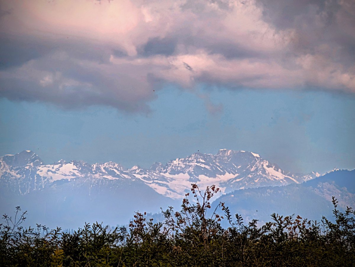 daldred007's tweet photo. 007 is out and about in India.
#firsttimeinIndia @GreatRail
Mtn views across to the Himalaya Mtn range from the Kufri viewpoint & Wildflower Hall - former residence of Lord Kitchener - now a 5 star hotel in Shimla with the ambience of a staeley home.
#himalayamountains #shimla https://t.co/3CBTYPrT9d