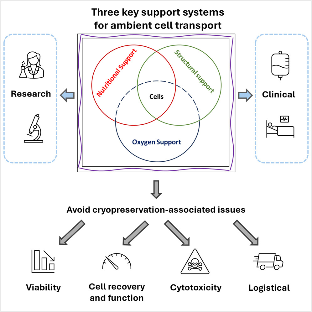 Biomaterials ICTP tweet media