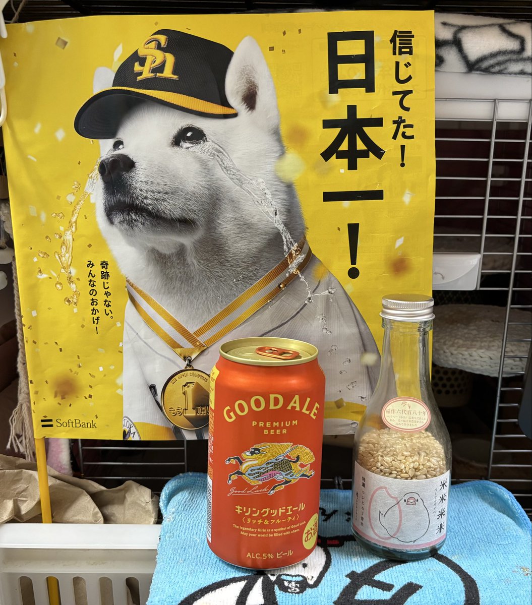 空太郎ページ 空太郎 (@3jZy2RyfgDg59MZ) / Posts / X