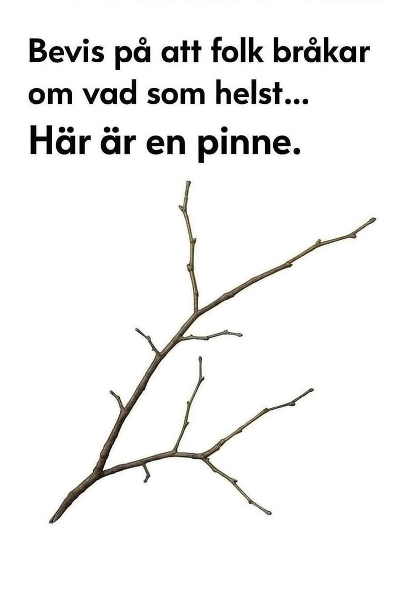 Anna Infidel 🇸🇪 (@anna_infidel) on Twitter photo 