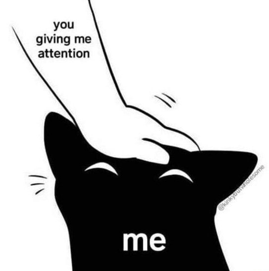 WholesomeMeme's tweet photo. https://t.co/lv4NuBIrtr