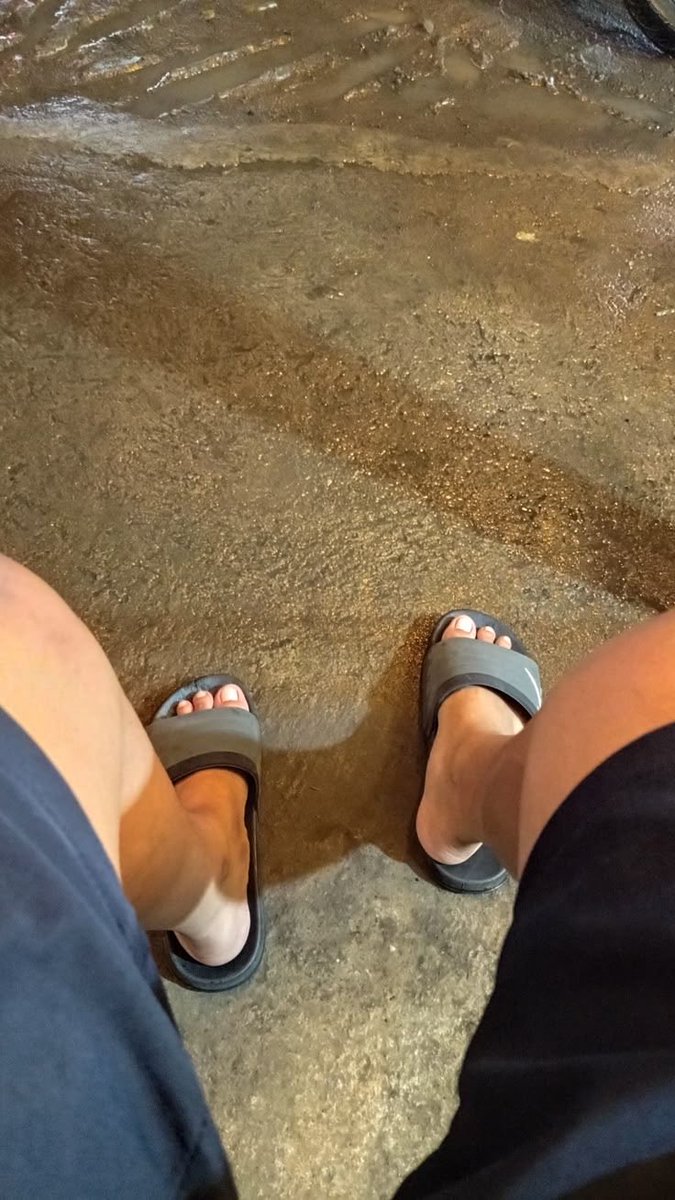 Pablogavi tweet media