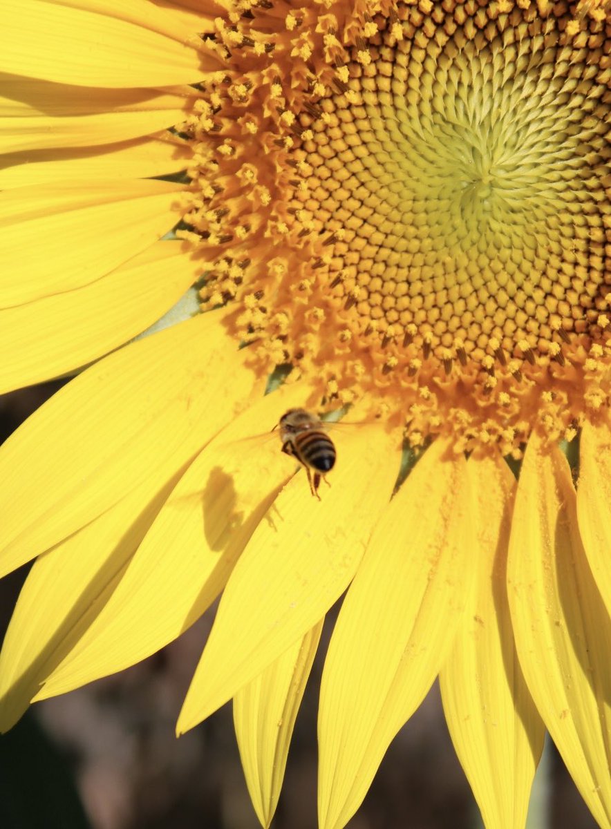 Grupo Charata tweet media