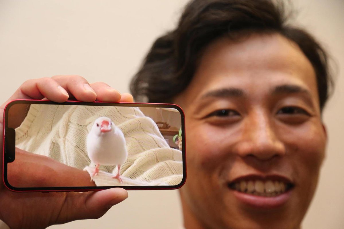 ワイは野村勇を一目置いてる（彼は文鳥を飼っているので）