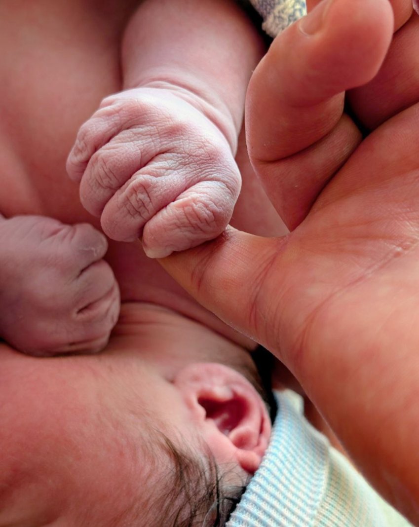 Bruno Rodrigues tweet media