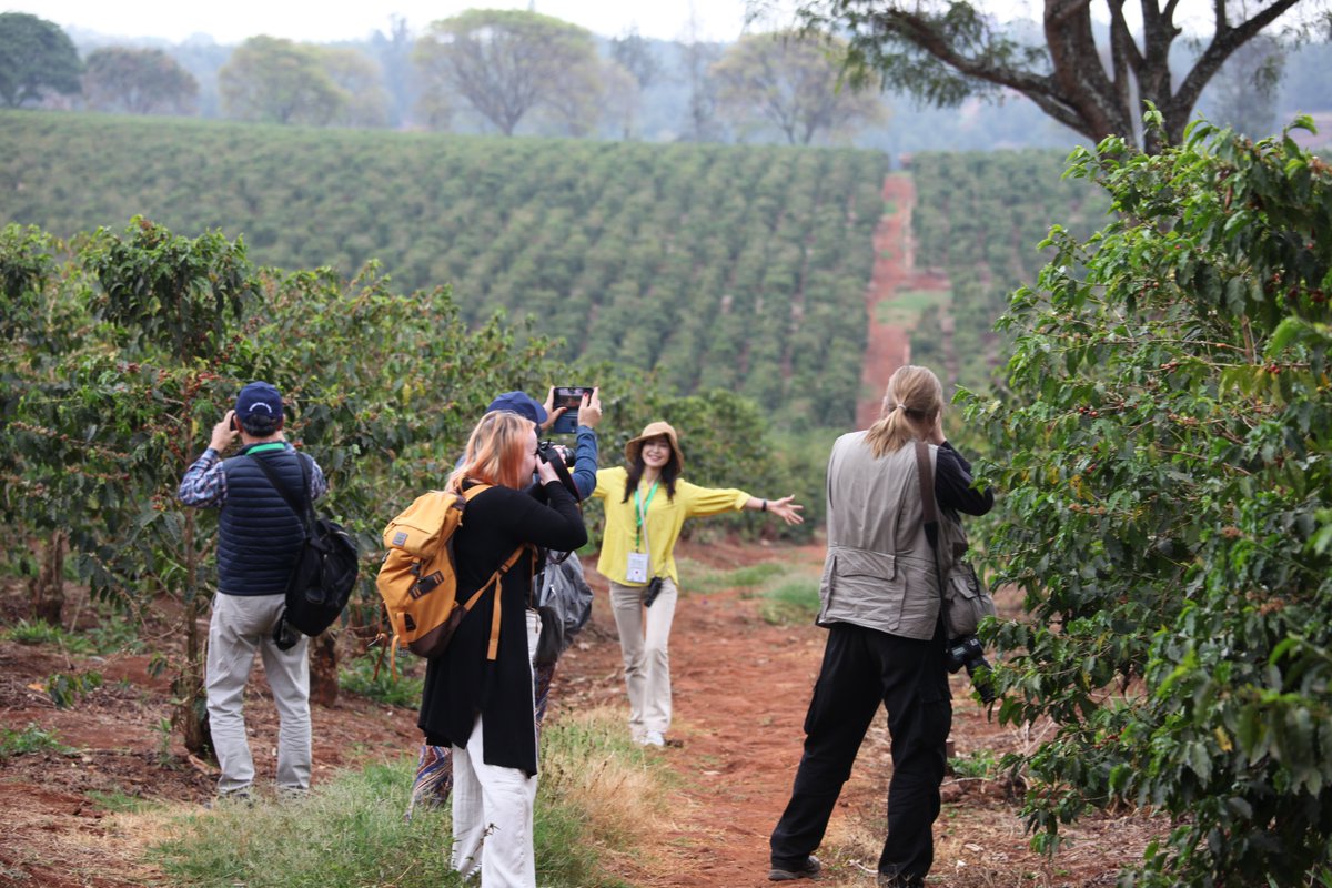 vstapic's tweet image. Kavu piješ svaki dan, a ne znaš kako izgleda plantaža na kojoj raste istoimena biljka? Evo ekskluzivnih kadrova i informacija iz bratske nam Kenije ;)

I tekst na AK
agroklub.com/vocarstvo/kako…