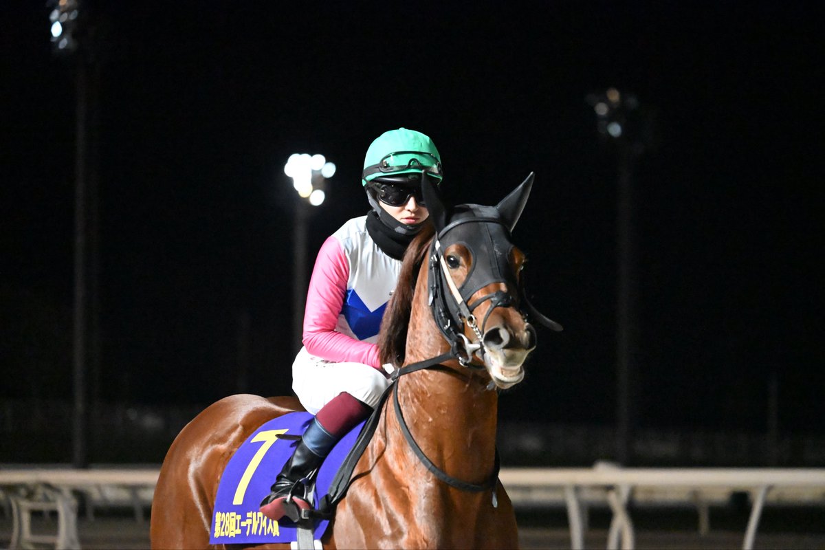 馬乗り大将 いぬころ on X