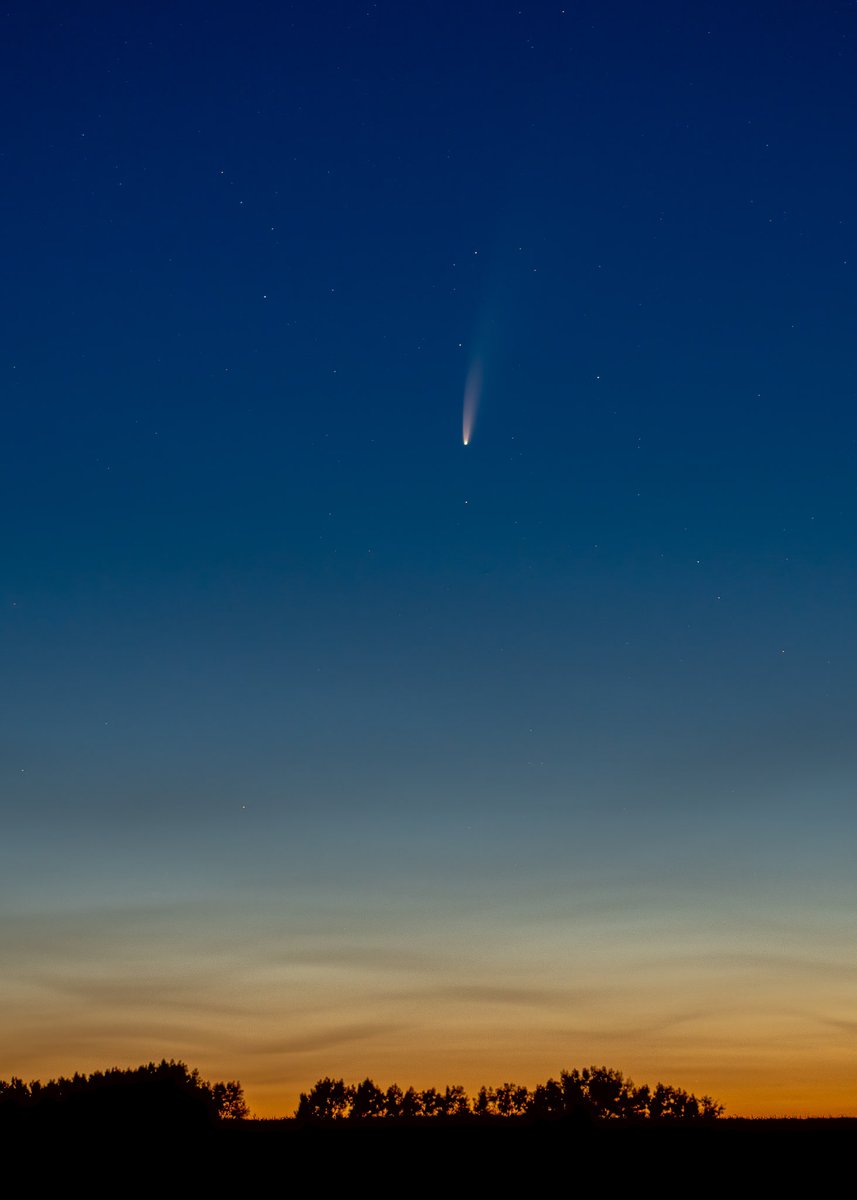 astropics's tweet image. Comet Neowise ☄️