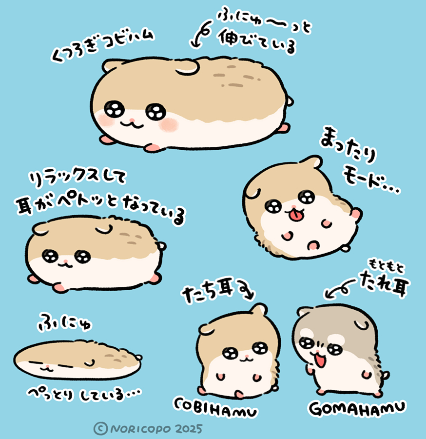 コビまとめ📝
#コビハムちゃん