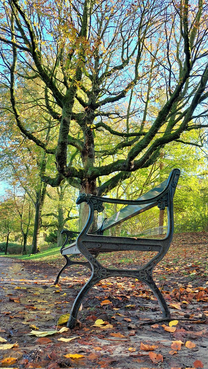 Het was een prachtige herfstdag vandaag #Leeuwarden