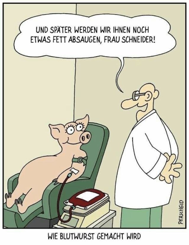 Ken-Guruh (@guruhken) on Twitter photo 