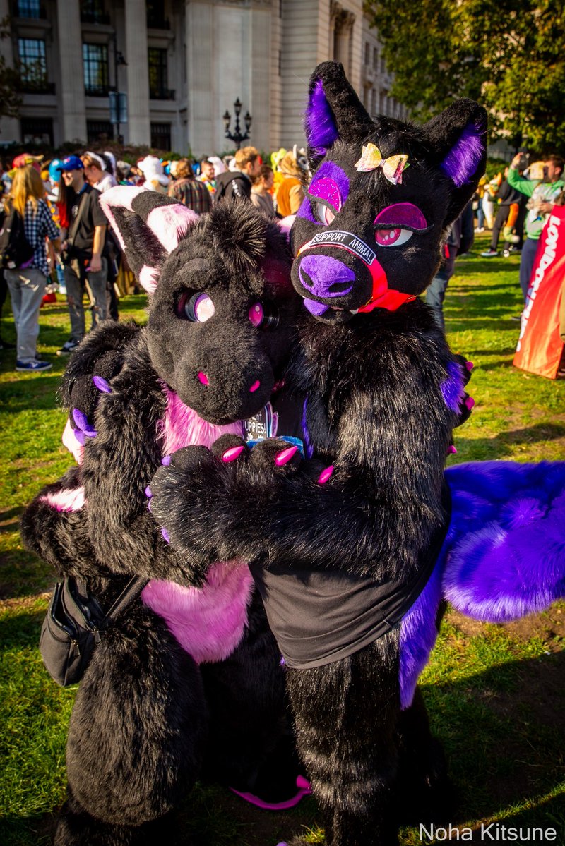 Come &amp; smooch me &amp; my twin and let me know if you prefer pink or purple~ 💜🐾