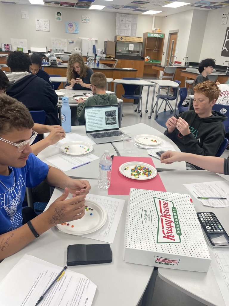 Mrs. Fox's Biology Honors classes studied population genetics using M&amp;Ms.