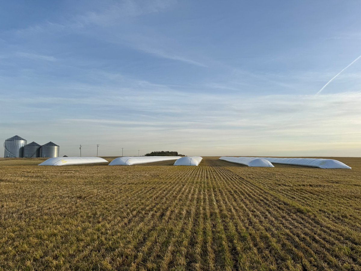 Pro Grain Equipment tweet media