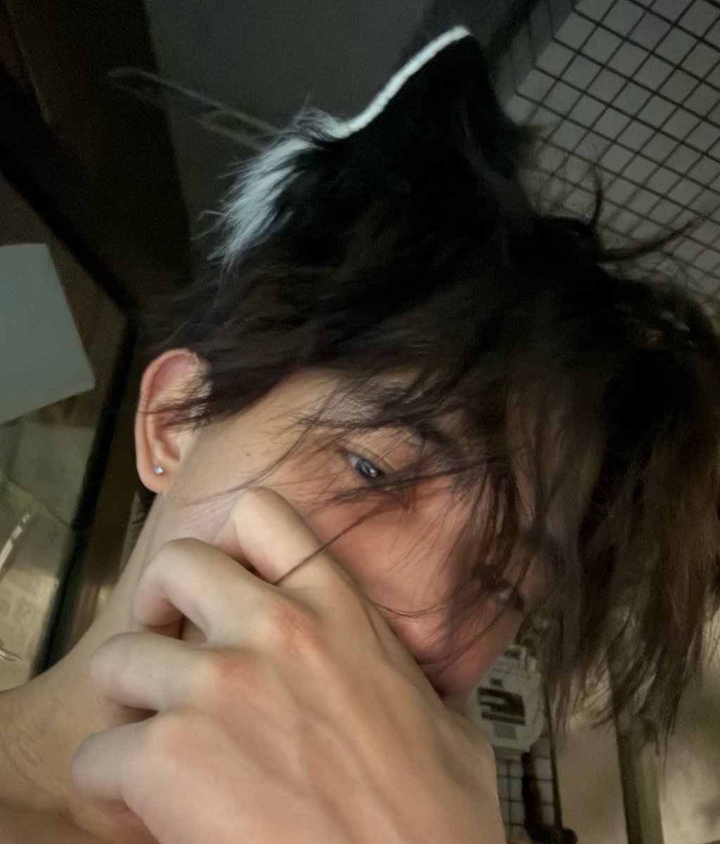 哈基咪你在幹嘛