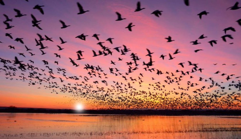 #geceye Hayat, 
Size değer vermeyen ve sizi anlamayan birine bir saniye ayırmak 
için bile çok kısa.
Hayallerinizin peşinden koşun, insanların değil...

Sohrap Sepehri