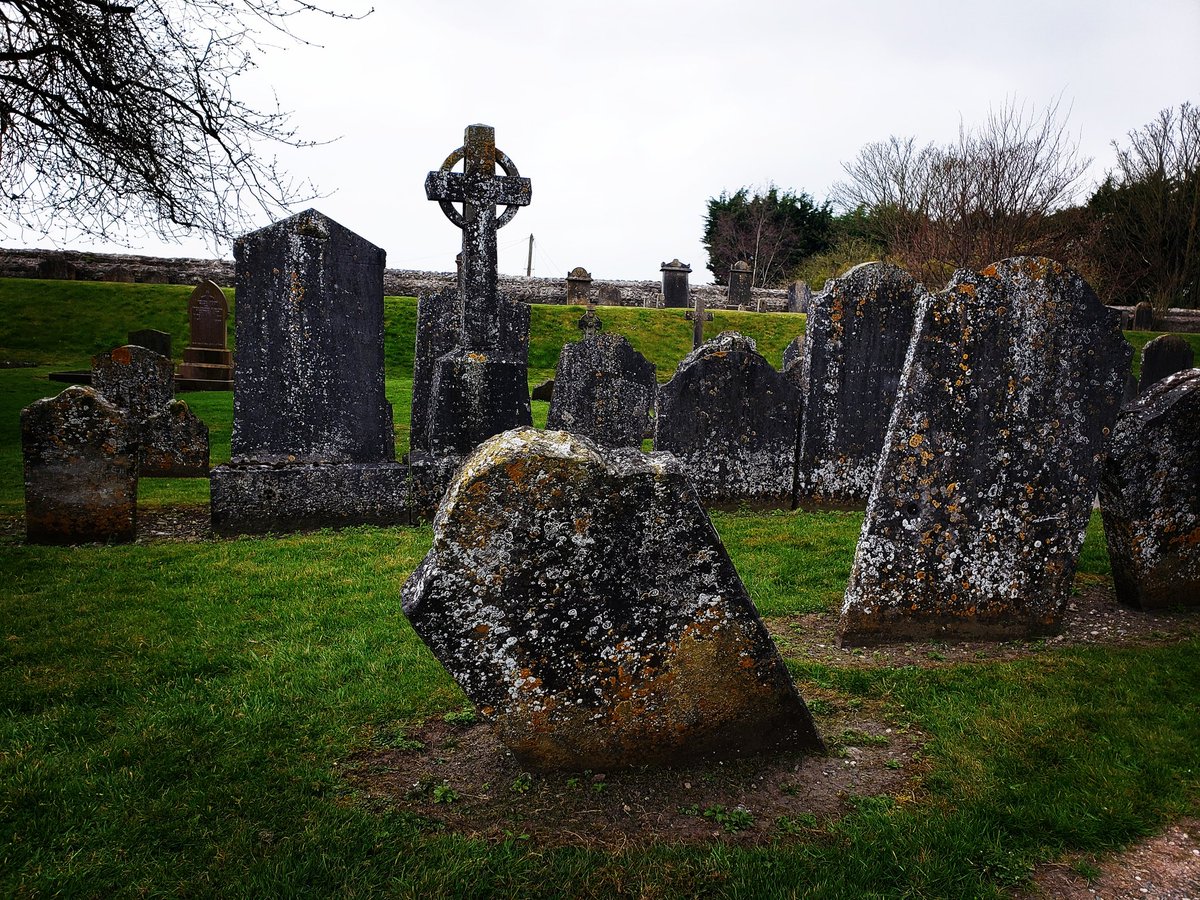 SWALLOW ALL THE LIGHT
Folklore warns nature kills those who harm it. Still, Nelly Malloy encourages her husband to import myxomatosis to cull Ireland's rabbits, hoping his death will unlock a secret inheritance and a new life. But the land remembers everything.
#PITDARK #A #LH